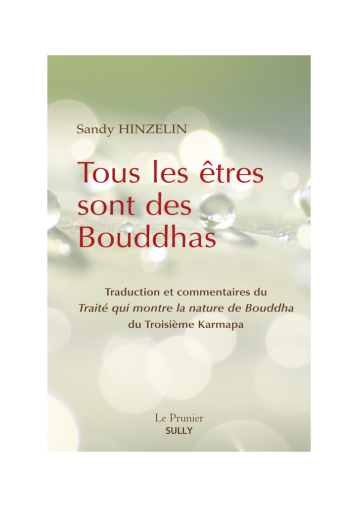 Tous les êtres sont des Bouddhas, livre