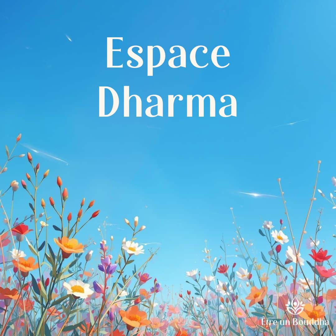 Présentation de l'abonnement Espace Dharma