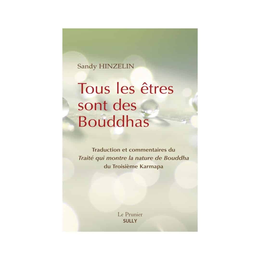 Couverture de "Tous les êtres sont des Bouddhas"