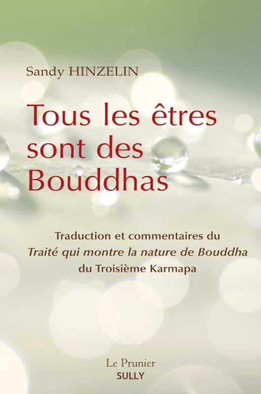 Couverture du livre Tous les êtres sont des Bouddhas de Sandy Hinzelin